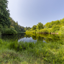 1389OldRiver0615-10 1389OldRiver0615-10