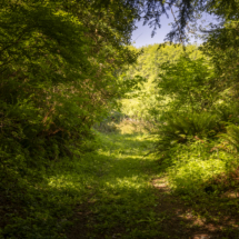 1389oldriverrd-31 1389oldriverrd-31