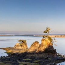 230swcoastave-21 230swcoastave-21