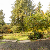 563moonshine park-28