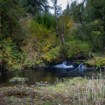 563moonshine park-33