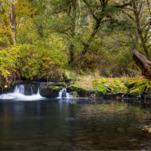 563moonshine park-34