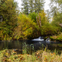 563moonshine park-36