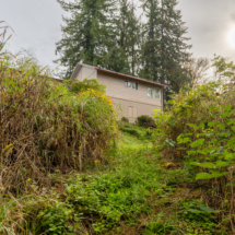 563moonshine park-37