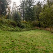 563moonshine park-39