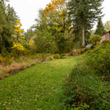 563moonshine park-40