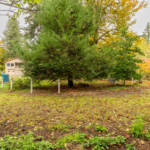 563moonshine park-42