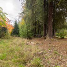 563moonshine park-43