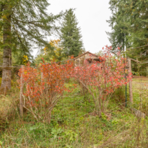 563moonshine park-54