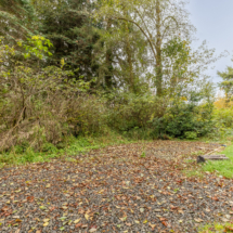 563moonshine park-55