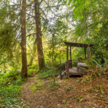 563moonshine park-56