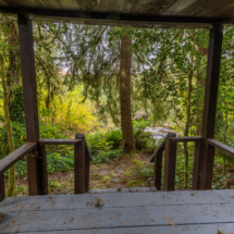 563moonshine park-57