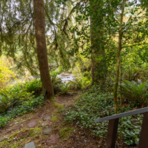 563moonshine park-58