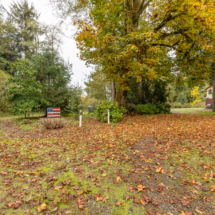 563moonshine park-59