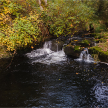 563moonshine park-65