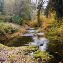 563moonshine park-66