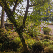 563moonshine park-67