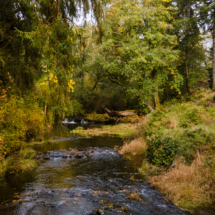 563moonshine park-68