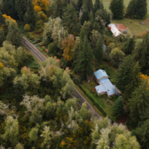 563moonshine park-73