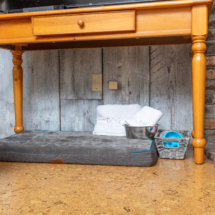 6805Rhododendronave-17 6805Rhododendronave-17