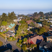 6805Rhododendronave-3 6805Rhododendronave-3