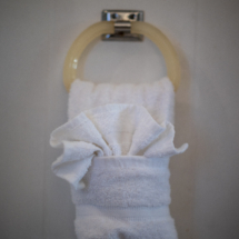 6805Rhododendronave-30 6805Rhododendronave-30