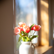 6805Rhododendronave-31 6805Rhododendronave-31