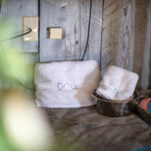 6805Rhododendronave-33 6805Rhododendronave-33