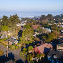 6805Rhododendronave-4 6805Rhododendronave-4