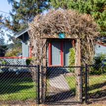 6805Rhododendronave-43 6805Rhododendronave-43