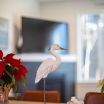 450 se shell ave-31 450 se shell ave-31