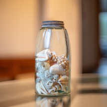 89535oceandr-91 89535oceandr-91